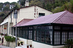 Alasia Hotel Booking Kasauli Hotels Reservation