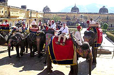 Amber Fort Jaipur Tour Packages Rajasthan