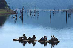Bamboo Rafting Periyar National Park Wildlife Packages Thekkady Kerala