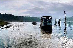 Boat Cruises Periyar National Park Wildlife Tours Thekkady Kerala