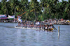 Boat Race Alleppey Travel Packages Kerala India