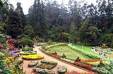 Botanical Gardens Ooty Tour Packages Tamil Nadu