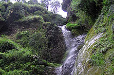 Chadwick Falls Shimla Holidays Packages Himachal Pradesh