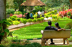 Cubbon Park Bangalore Honeymoon  Tour Packages Karnataka India