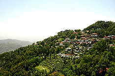 Honeymoon Packages in Dalhousie Himachal Pradesh India