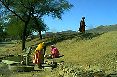 Haldighati Udaipur Tours and Travels Rajasthan