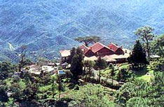 Kasauli Himachal Pradesh Holiday Packages India