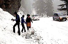 Kufri Himachal Pradesh Hill Stations Tour India