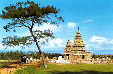 Mamallapuram Travel Packages Tamil Nadu