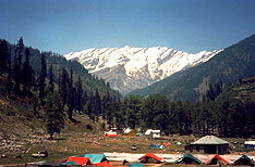 Manali Himachal Pradesh Honeymoon Tours India