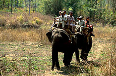 Manas National Park Tours Assam
