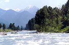 Pahalgam Jammu and Kashmir Travel and Tours