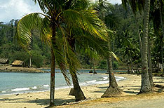 Port Blair Travel Packages Andaman and Nicobar