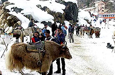 Rohtang Pass Manali Holidays Himachal Pradesh