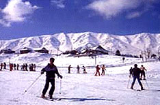Skiing Patnitop Tours Jammu and Kashmir