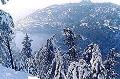 Snow View Nainital Tours and Travels Uttaranchal