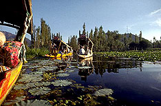 Srinagar Jammu and Kashmir Travel Vacations