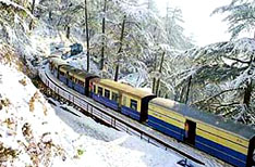 Toy Train Travel Shimla Himachal Pradesh